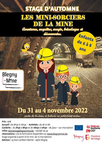 Stages d'automne